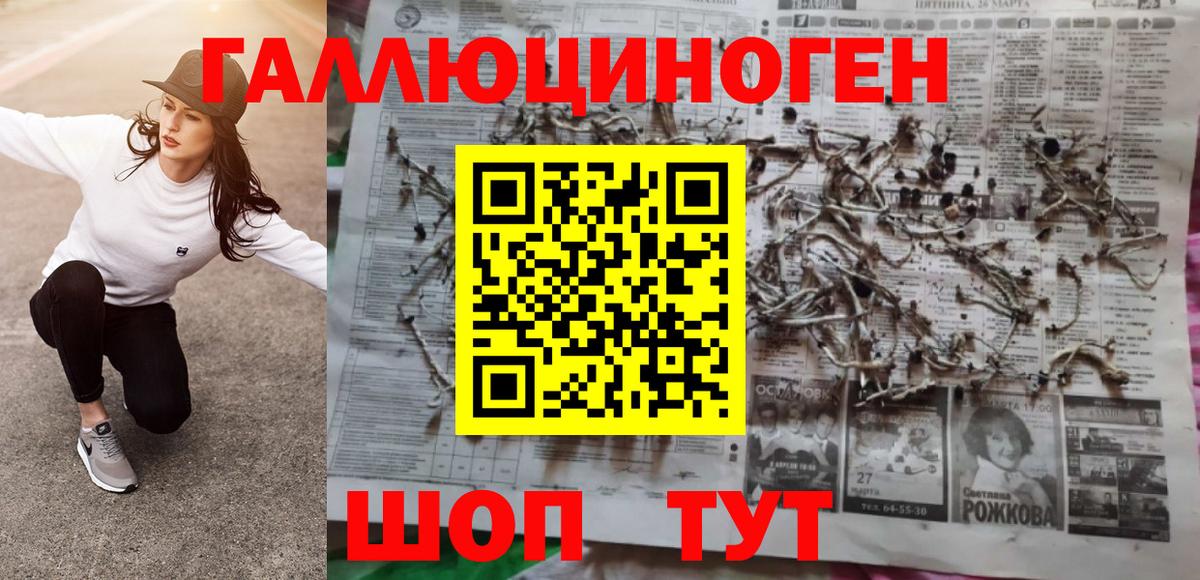 дарнет шоп  Псилоцибиновые грибы мицелий  Вход с VPN  Галлюциногенные грибы MAGIC MUSHROOMS  Новотроицк 