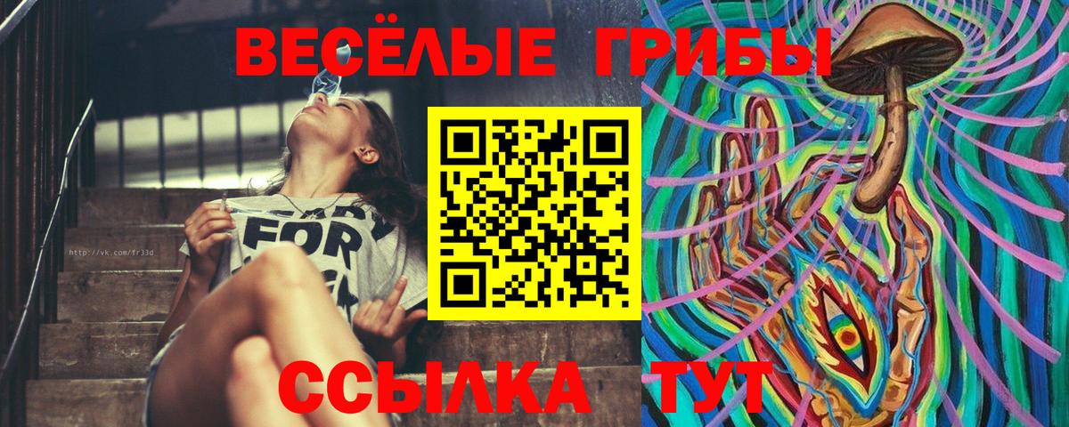 Псилоцибиновые грибы мухоморы Новотроицк